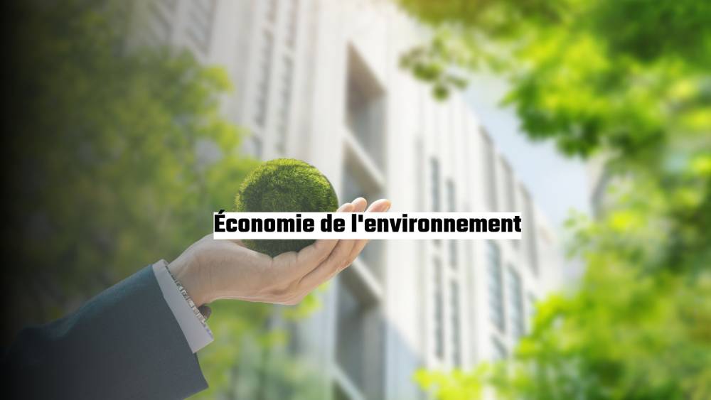 Économie de l'environnement