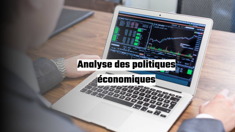 Analyse des Politiques Économique