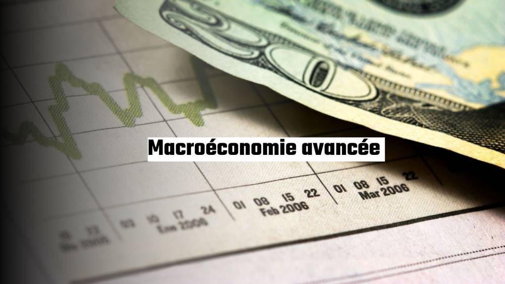 Macroéconomie avancée : Un Guide Complet