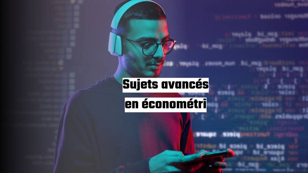 Sujets avancés en économétri